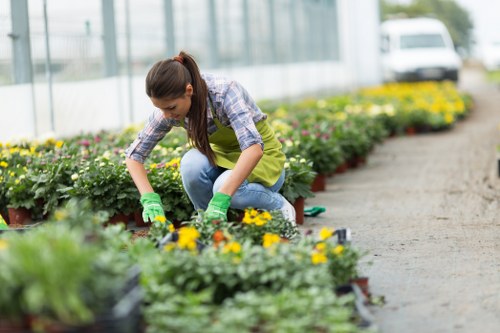 Landscape gardeners working on a local garden project in Waltham Forest