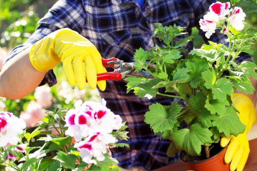 Landscaper carrying out safe garden work with protective equipment