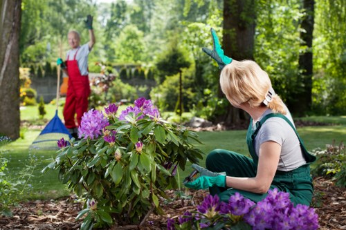 Garden maintenance work in a Waltham Forest residential garden