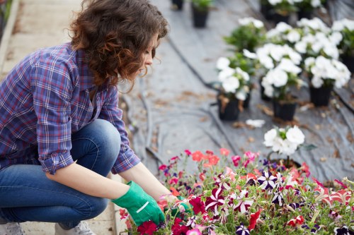 Lawn mowing and border care for a local property