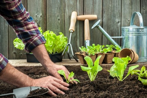 Thoughtful garden landscaping in Waltham Forest with planting and layout focus