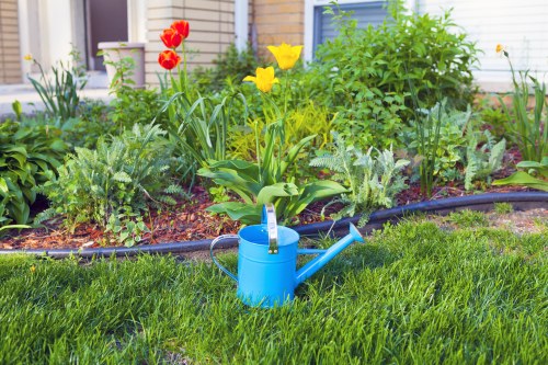 Lawn care service for a residential garden in Walthamforest