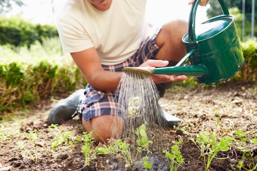 Professional hedge trimming for a Waltham Forest front garden