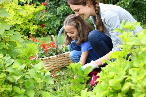 Local grass cutting service for a terrace garden in Waltham Forest