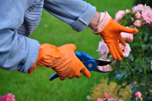 Supervisor reviewing a landscaping complaint