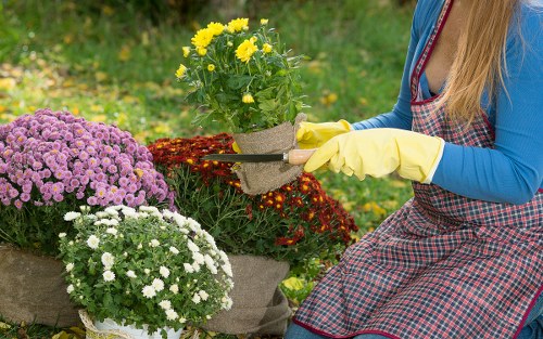 Landscaping service issue being assessed