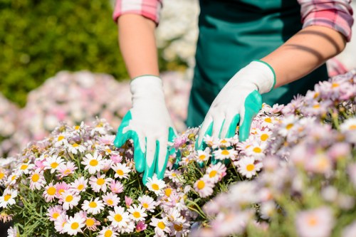 Free quote policy for rubbish and man and van services