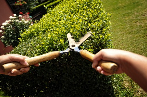Load-based and cubic-yard quote options for local rubbish removal
