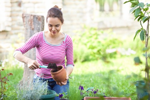 Planting preparation work in a Waltham Forest residential property