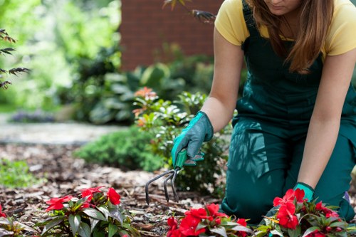 Transparent local pricing for landscaping rubbish removal