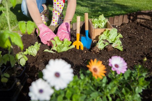 Commercial lawn care and grounds maintenance in Walthamforest