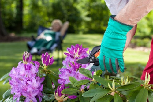 Seasonal leaf clearance for a Waltham Forest garden