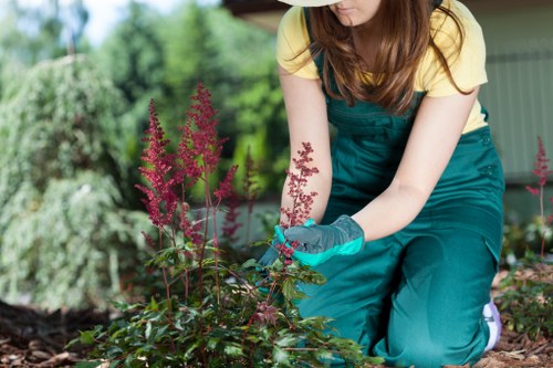 Local garden renovation service showing preparation of an outdoor space in Waltham Forest