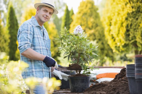 Local hedge maintenance for a home with narrow access and parking