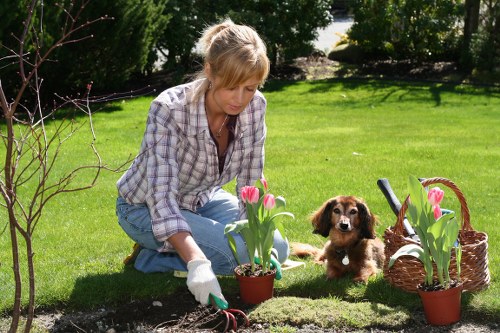 Complaint resolution process for outdoor works