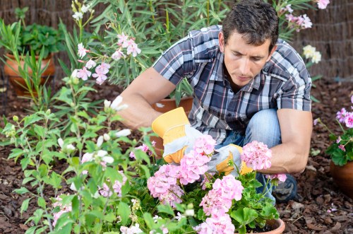 Professional landscapers in Walthamforest enhancing a garden space