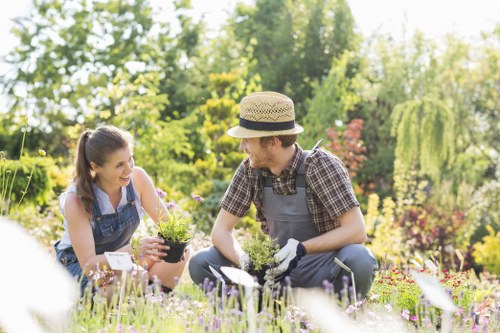 Example landscaping clearance jobs in Waltham Forest homes
